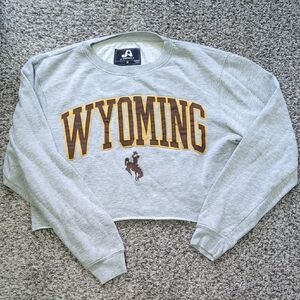 J. America Gray Wyoming Sweatshirt